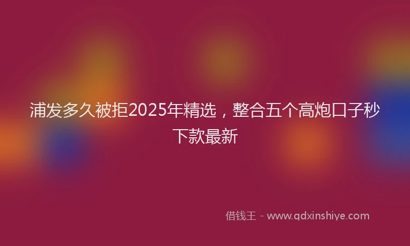 浦发多久被拒2025年精选，整合五个高炮口子秒下款最新