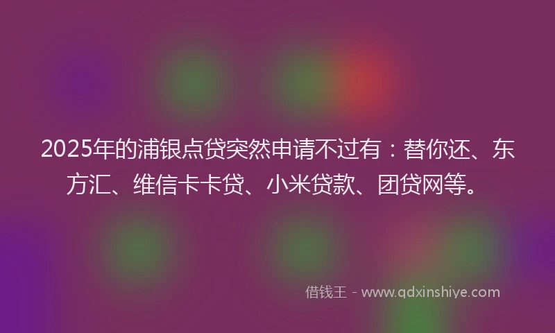 2025年的浦银点贷突然申请不过有：替你还、东方汇、维信卡卡贷、小米贷款、团贷网等。
