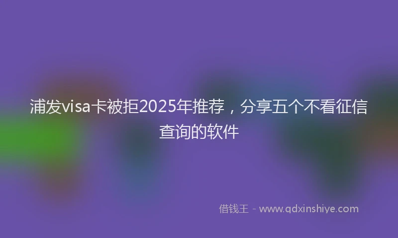 浦发visa卡被拒2025年推荐，分享五个不看征信查询的软件