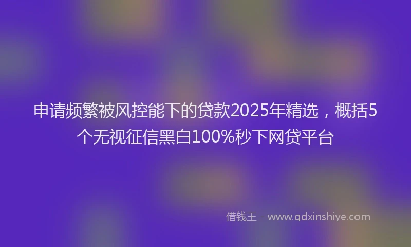 申请频繁被风控能下的贷款2025年精选，概括5个无视征信黑白100%秒下网贷平台