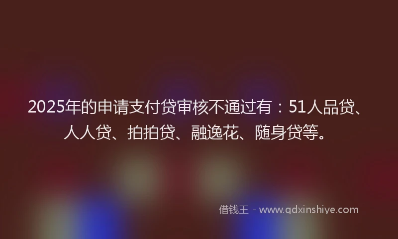2025年的申请支付贷审核不通过有：51人品贷、人人贷、拍拍贷、融逸花、随身贷等。