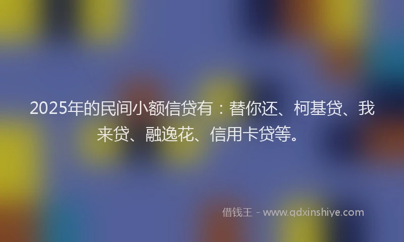 2025年的民间小额信贷有：替你还、柯基贷、我来贷、融逸花、信用卡贷等。
