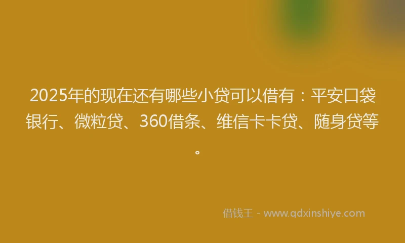 2025年的现在还有哪些小贷可以借有：平安口袋银行、微粒贷、360借条、维信卡卡贷、随身贷等。