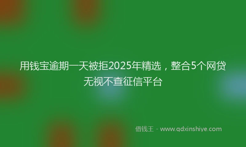 用钱宝逾期一天被拒2025年精选，整合5个网贷无视不查征信平台