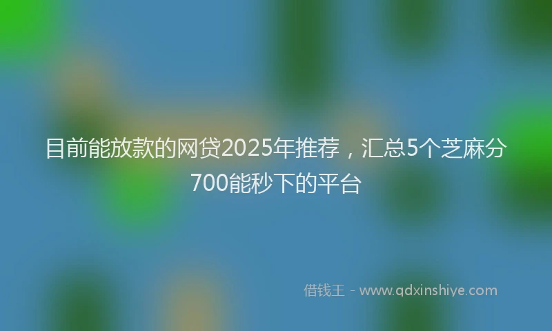 目前能放款的网贷2025年推荐，汇总5个芝麻分700能秒下的平台