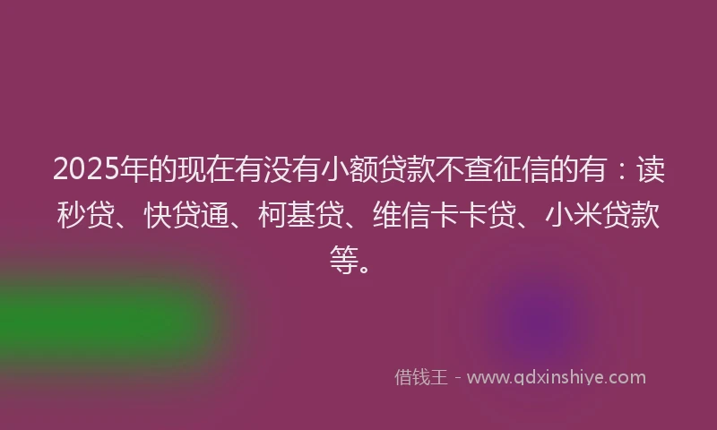 2025年的现在有没有小额贷款不查征信的有：读秒贷、快贷通、柯基贷、维信卡卡贷、小米贷款等。
