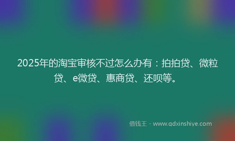 2025年的淘宝审核不过怎么办有：拍拍贷、微粒贷、e微贷、惠商贷、还呗等。