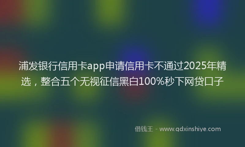 浦发银行信用卡app申请信用卡不通过2025年精选，整合五个无视征信黑白100%秒下网贷口子