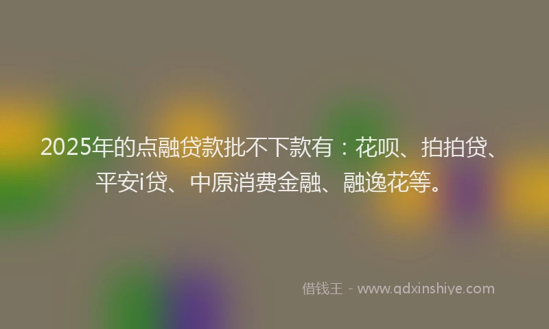 2025年的点融贷款批不下款有：花呗、拍拍贷、平安i贷、中原消费金融、融逸花等。