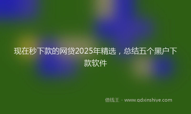 现在秒下款的网贷2025年精选，总结五个黑户下款软件