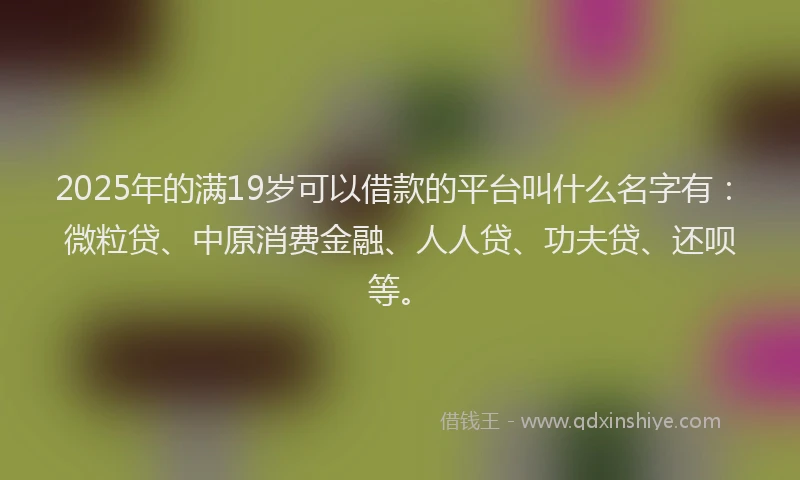 2025年的满19岁可以借款的平台叫什么名字有：微粒贷、中原消费金融、人人贷、功夫贷、还呗等。