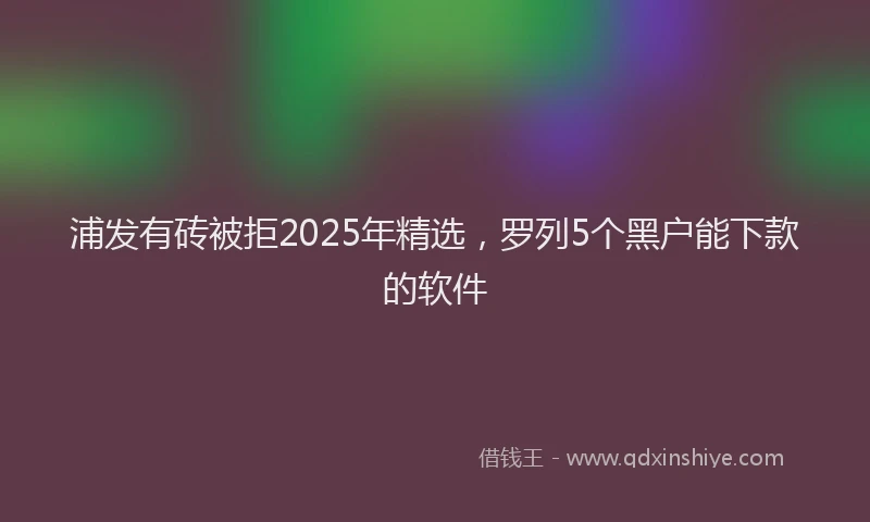 浦发有砖被拒2025年精选，罗列5个黑户能下款的软件