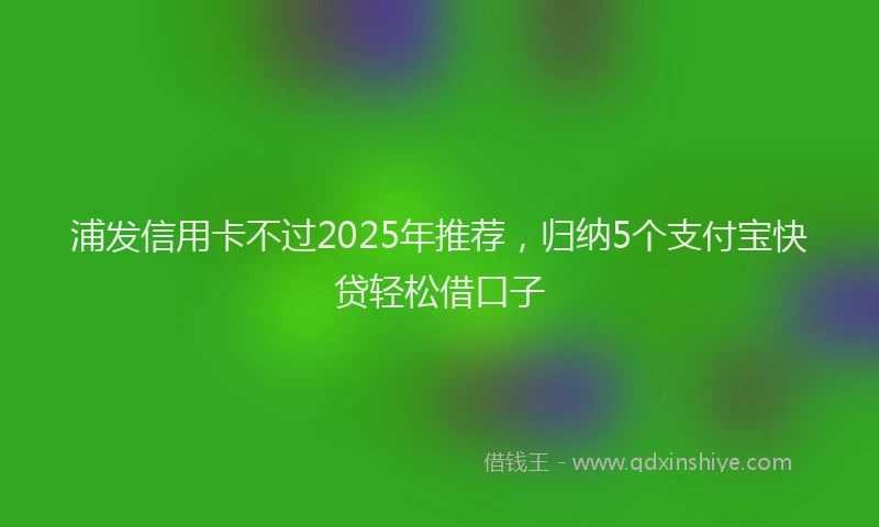 浦发信用卡不过2025年推荐，归纳5个支付宝快贷轻松借口子