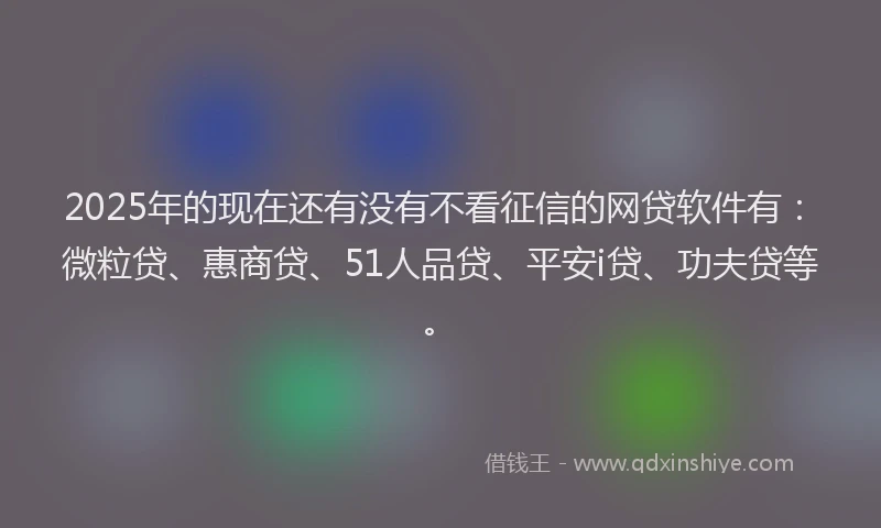 2025年的现在还有没有不看征信的网贷软件有：微粒贷、惠商贷、51人品贷、平安i贷、功夫贷等。