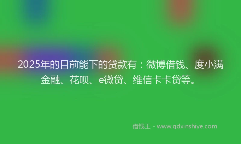 2025年的目前能下的贷款有：微博借钱、度小满金融、花呗、e微贷、维信卡卡贷等。