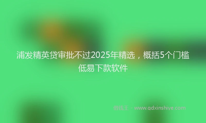 浦发精英贷审批不过2025年精选，概括5个门槛低易下款软件