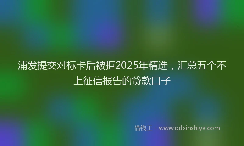 浦发提交对标卡后被拒2025年精选，汇总五个不上征信报告的贷款口子