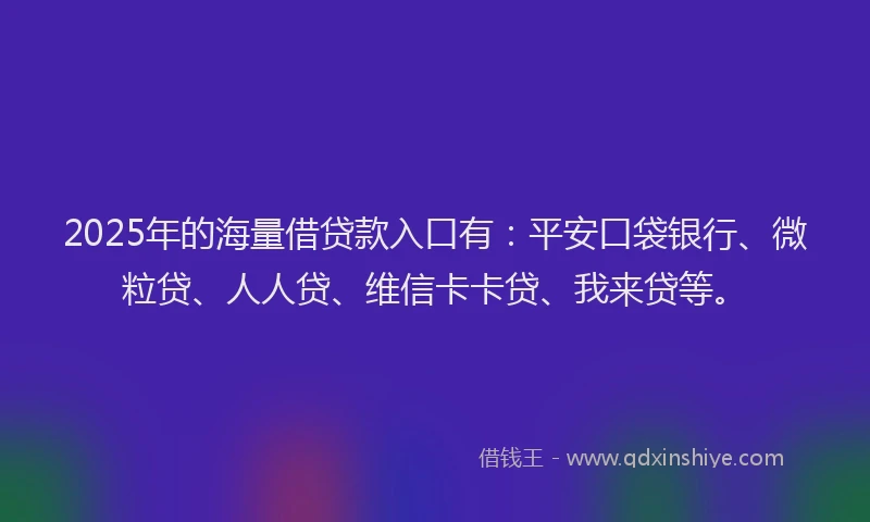 2025年的海量借贷款入口有：平安口袋银行、微粒贷、人人贷、维信卡卡贷、我来贷等。
