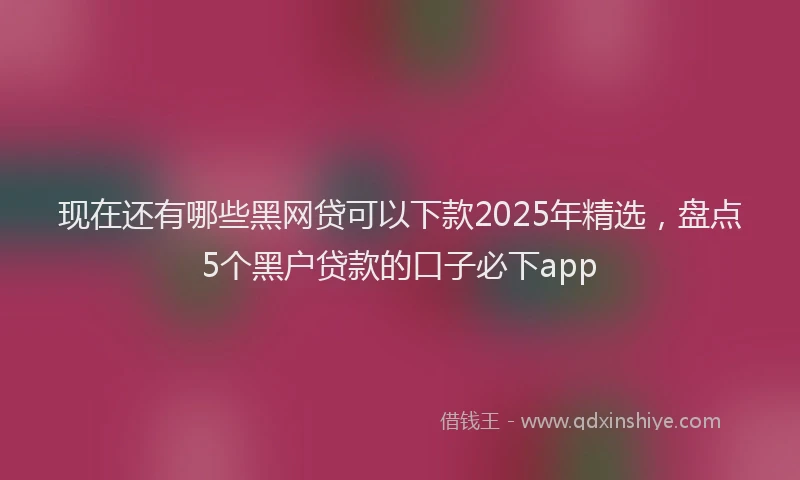 现在还有哪些黑网贷可以下款2025年精选，盘点5个黑户贷款的口子必下app