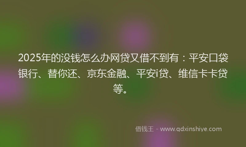 2025年的没钱怎么办网贷又借不到有：平安口袋银行、替你还、京东金融、平安i贷、维信卡卡贷等。