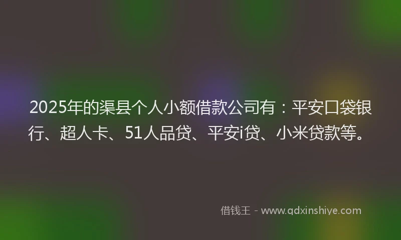 2025年的渠县个人小额借款公司有：平安口袋银行、超人卡、51人品贷、平安i贷、小米贷款等。