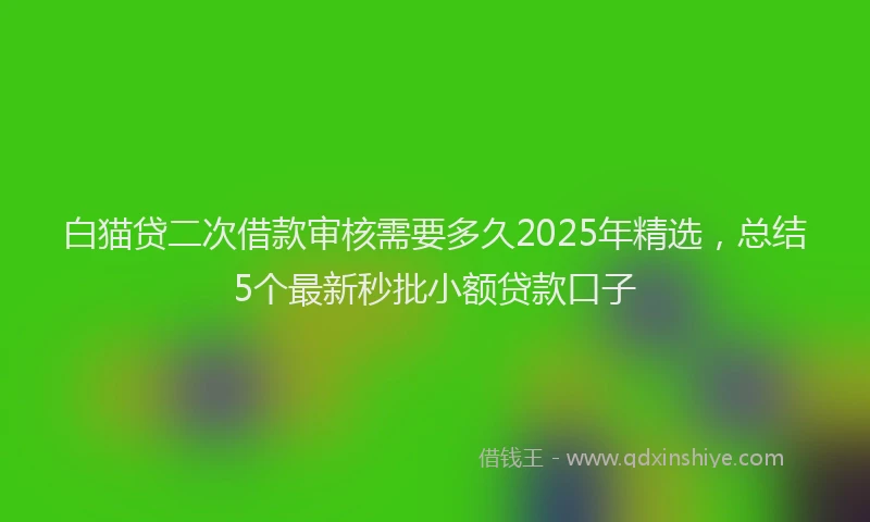 白猫贷二次借款审核需要多久2025年精选，总结5个最新秒批小额贷款口子