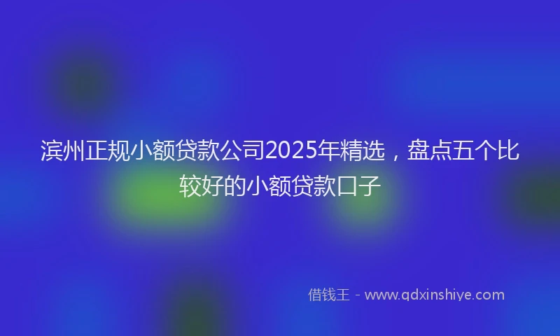 滨州正规小额贷款公司2025年精选，盘点五个比较好的小额贷款口子
