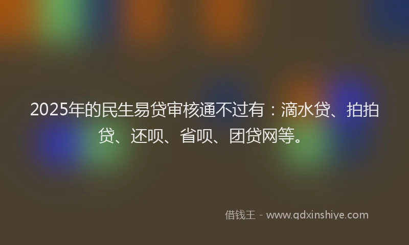 2025年的民生易贷审核通不过有：滴水贷、拍拍贷、还呗、省呗、团贷网等。