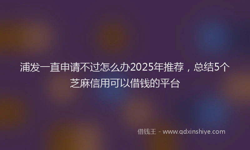 浦发一直申请不过怎么办2025年推荐，总结5个芝麻信用可以借钱的平台