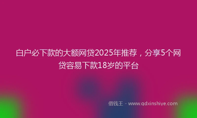 白户必下款的大额网贷2025年推荐，分享5个网贷容易下款18岁的平台