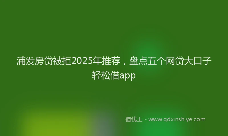 浦发房贷被拒2025年推荐，盘点五个网贷大口子轻松借app