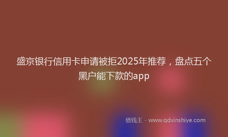 盛京银行信用卡申请被拒2025年推荐，盘点五个黑户能下款的app