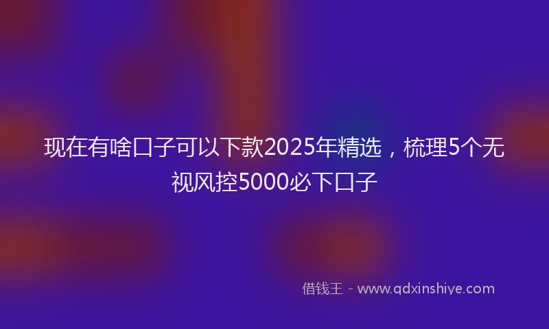现在有啥口子可以下款2025年精选，梳理5个无视风控5000必下口子