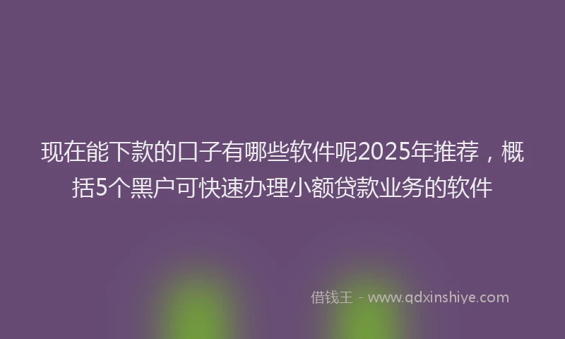 现在能下款的口子有哪些软件呢2025年推荐，概括5个黑户可快速办理小额贷款业务的软件