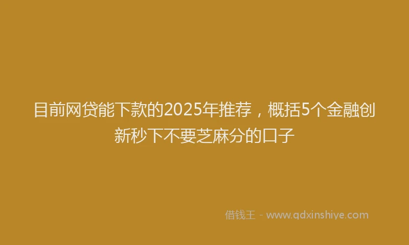 目前网贷能下款的2025年推荐，概括5个金融创新秒下不要芝麻分的口子