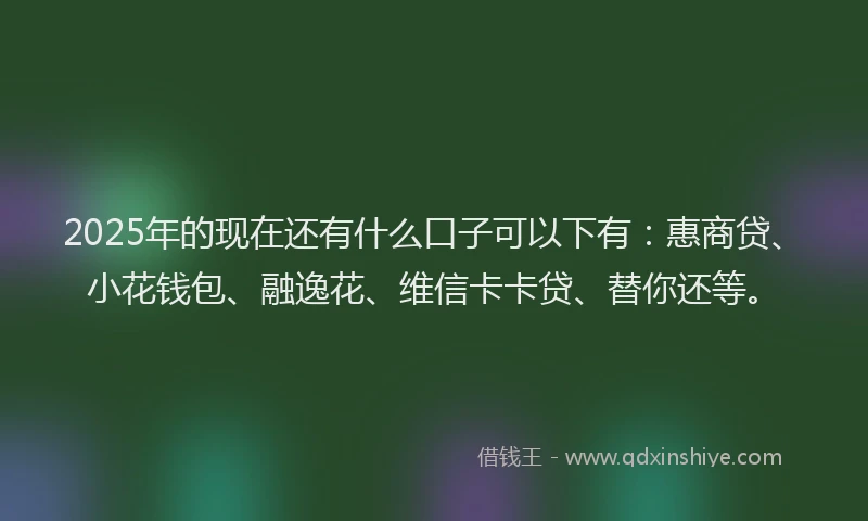 2025年的现在还有什么口子可以下有：惠商贷、小花钱包、融逸花、维信卡卡贷、替你还等。