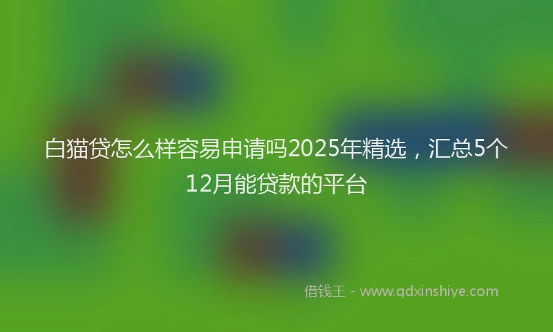 白猫贷怎么样容易申请吗2025年精选，汇总5个12月能贷款的平台