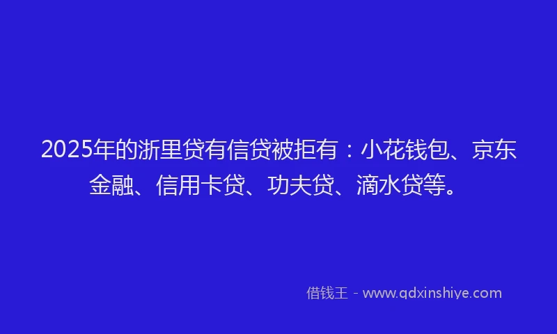 2025年的浙里贷有信贷被拒有：小花钱包、京东金融、信用卡贷、功夫贷、滴水贷等。
