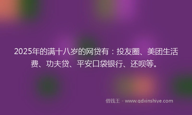 2025年的满十八岁的网贷有：投友圈、美团生活费、功夫贷、平安口袋银行、还呗等。