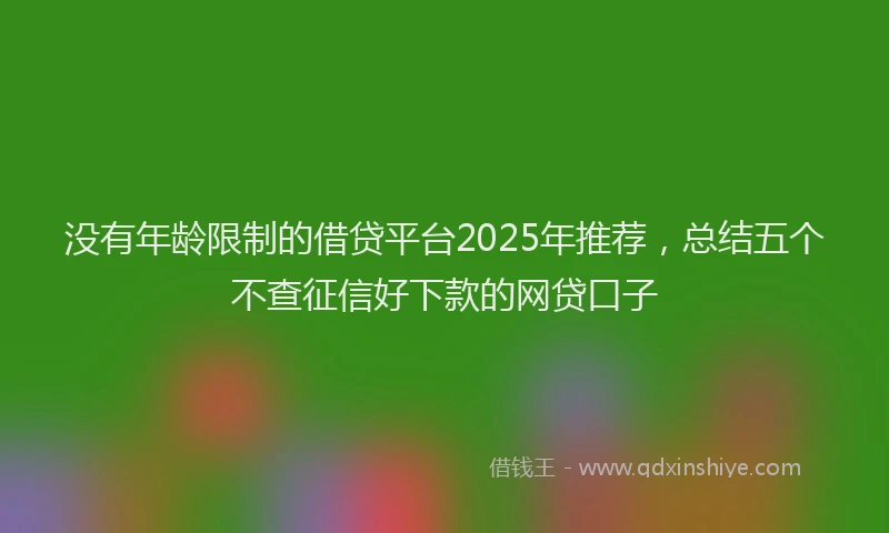 没有年龄限制的借贷平台2025年推荐，总结五个不查征信好下款的网贷口子