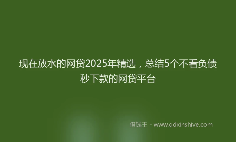 现在放水的网贷2025年精选，总结5个不看负债秒下款的网贷平台