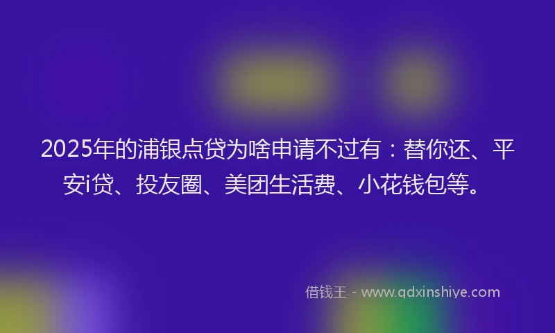 2025年的浦银点贷为啥申请不过有：替你还、平安i贷、投友圈、美团生活费、小花钱包等。
