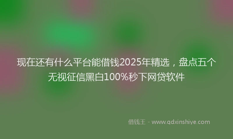 现在还有什么平台能借钱2025年精选，盘点五个无视征信黑白100%秒下网贷软件