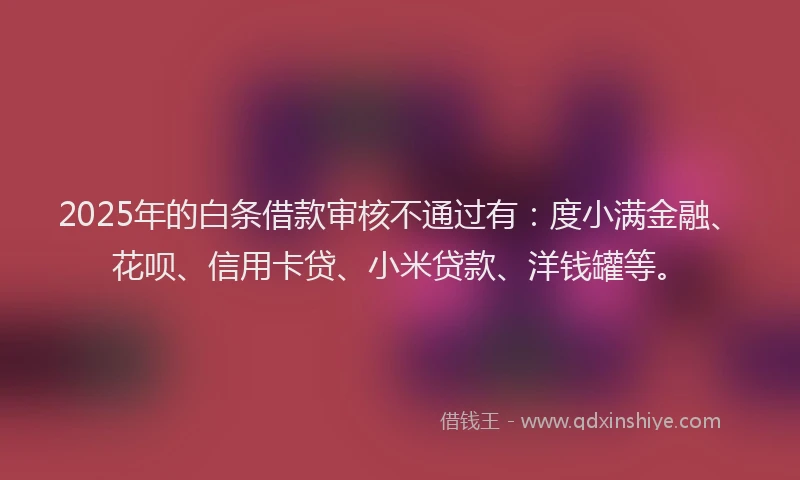 2025年的白条借款审核不通过有：度小满金融、花呗、信用卡贷、小米贷款、洋钱罐等。