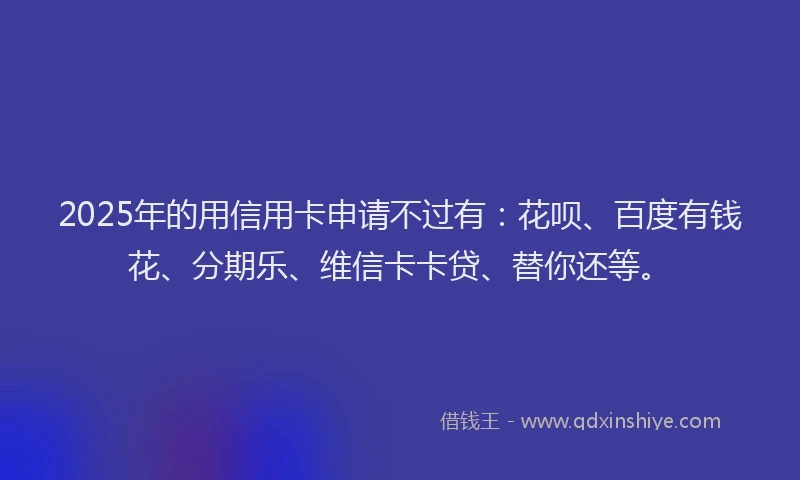 2025年的用信用卡申请不过有：花呗、百度有钱花、分期乐、维信卡卡贷、替你还等。