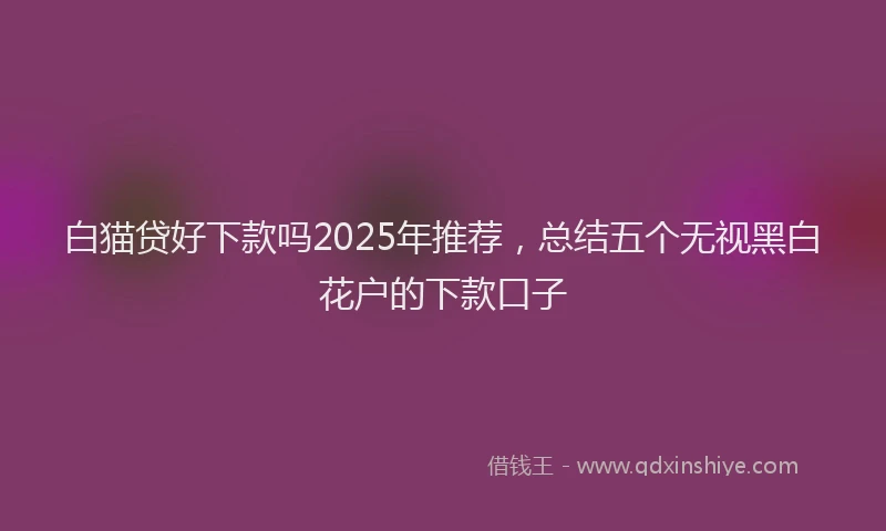 白猫贷好下款吗2025年推荐，总结五个无视黑白花户的下款口子