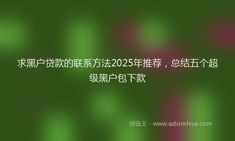 求黑户贷款的联系方法2025年推荐，总结五个超级黑户包下款