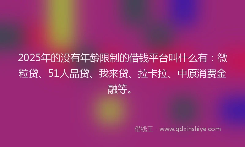 2025年的没有年龄限制的借钱平台叫什么有：微粒贷、51人品贷、我来贷、拉卡拉、中原消费金融等。