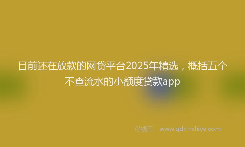 目前还在放款的网贷平台2025年精选，概括五个不查流水的小额度贷款app