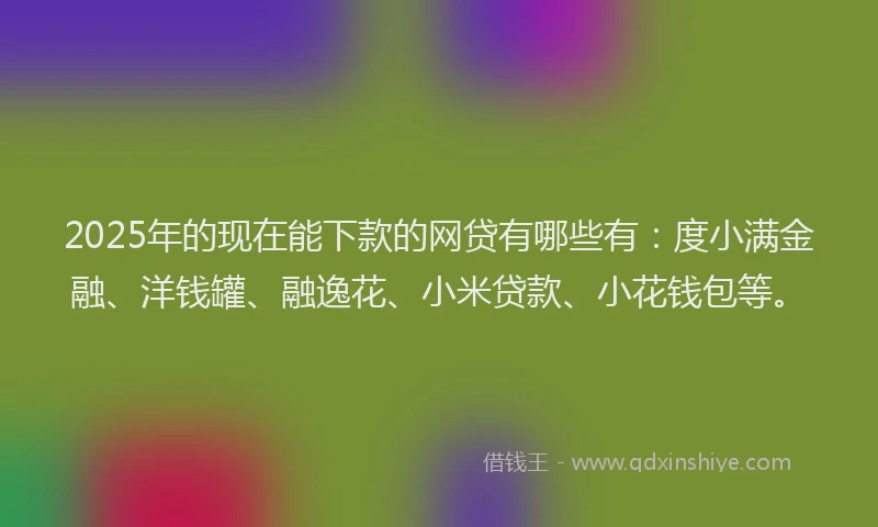 2025年的现在能下款的网贷有哪些有：度小满金融、洋钱罐、融逸花、小米贷款、小花钱包等。